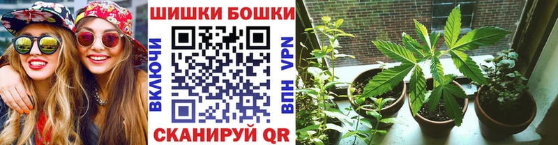 Бошки марихуана MAZAR  Купить где  Вятские Поляны 